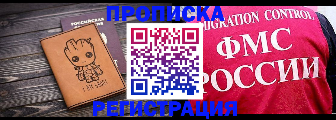 прописка 2025 в Зеленогорске